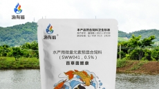 4月份需要重點關(guān)注的水產(chǎn)養(yǎng)殖疾病