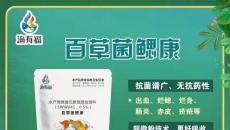 草魚老三病的防治措施，你知道嗎？