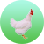 肉雞養(yǎng)殖