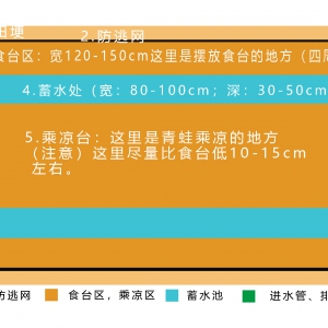 青蛙養(yǎng)殖場(chǎng)建設(shè)方案示意圖