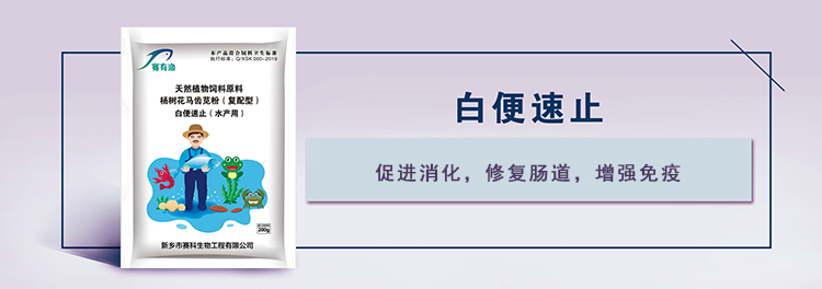 中國水產(chǎn)養(yǎng)殖需要真正的漁醫(yī)