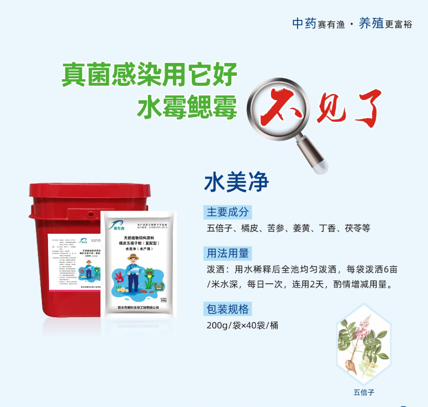 魚類水霉病不用怕，治療有訣竅絕招！