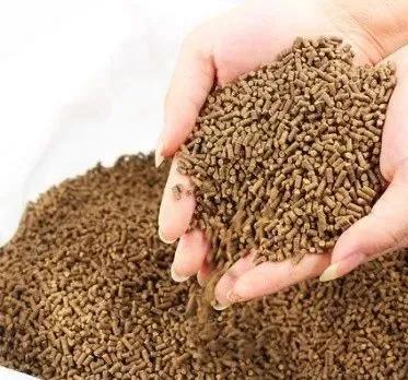 魚類為何容易患肝膽病，找到病因才能真正解決問(wèn)題！