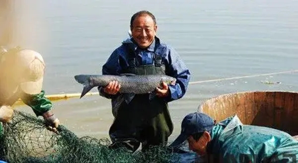 冬季魚塘養(yǎng)殖怎么做越冬管理？做好這4點(diǎn)，讓你順利越冬