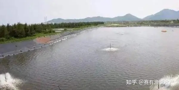 魚類越冬后大量爆發(fā)死亡？做好越冬期管理是預(yù)防的保證